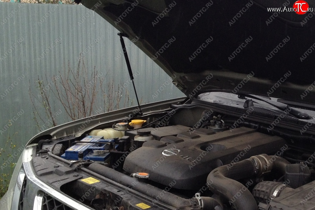 1 699 р. Газовые упоры капота Berkut Nissan Pathfinder R51 дорестайлинг (2004-2007)  с доставкой в г. Вологда