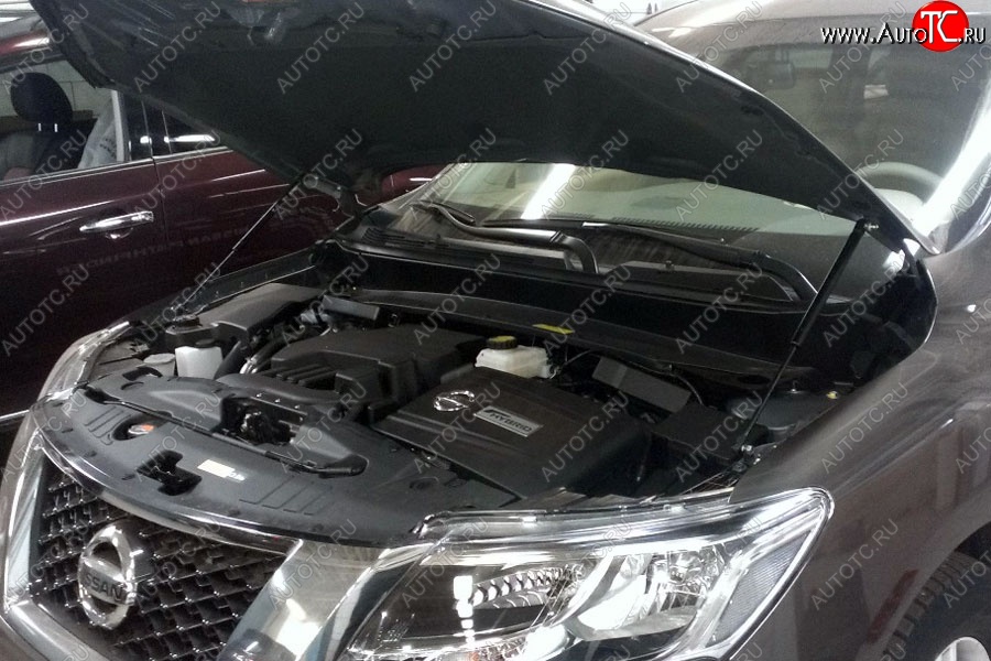 2 199 р. Газовые упоры капота Berkut Nissan Pathfinder R52 дорестайлинг (2012-2017)  с доставкой в г. Вологда