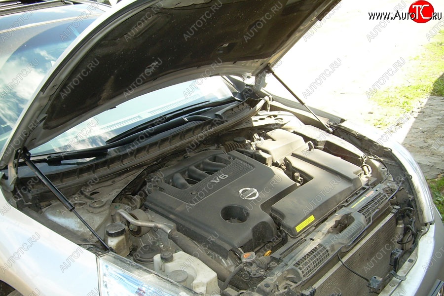 2 199 р. Газовые упоры капота Berkut Nissan Teana 2 J32 дорестайлинг (2008-2011)  с доставкой в г. Вологда