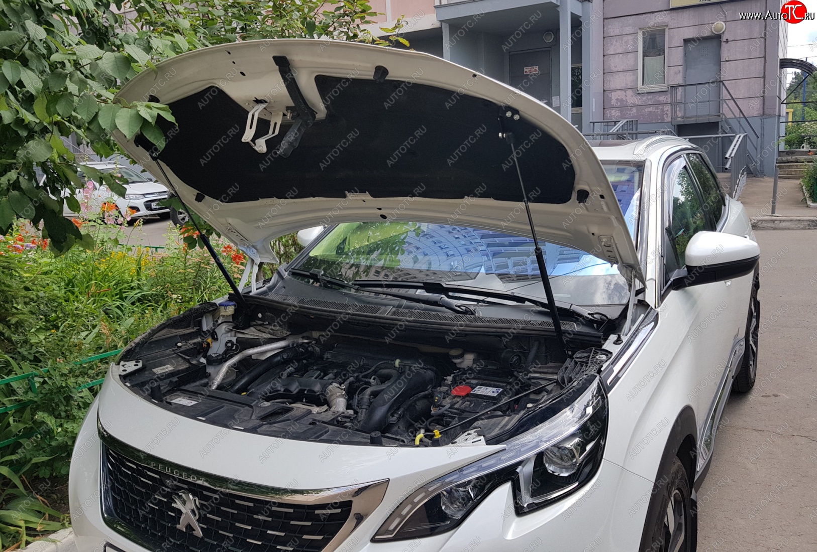 2 799 р. Упоры капота Russtal Peugeot 3008 2 C1A,C2A доресайлинг (2016-2020)  с доставкой в г. Вологда