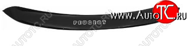 1 179 р. Дефлектор капота REIN (ЕВРО крепеж) Peugeot 3008 дорестайлинг (2009-2013)  с доставкой в г. Вологда