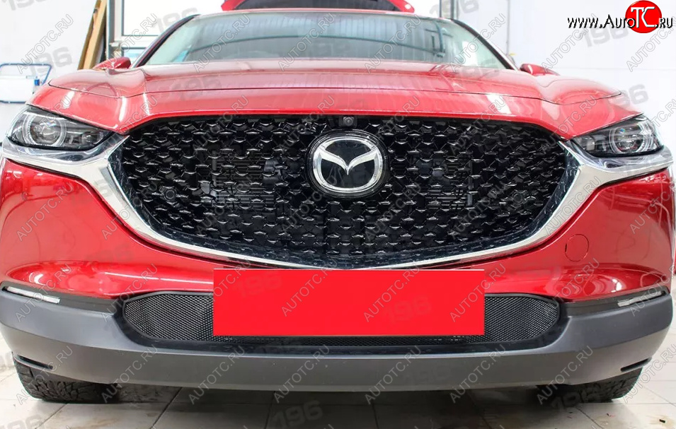 2 799 р. Защитная сетка в бампер (низ, ячейка 3х7 мм) Alfeco Стандарт  Mazda CX-30  1 DM (2019-2025) (Чёрная)  с доставкой в г. Вологда