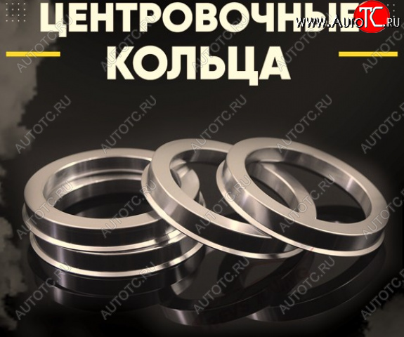 1 199 р. Алюминиевое центровочное кольцо (4 шт) ЗУЗ 92.6 x 100.1    с доставкой в г. Вологда