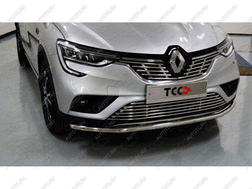 6 549 р. Нижняя декоративная вставка в бампер ТСС Тюнинг Renault Arkana (2019-2025) (d 12 мм)  с доставкой в г. Вологда