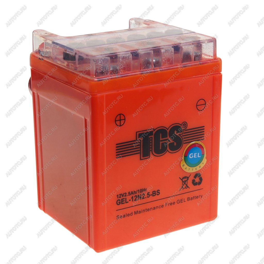 1 329 р. Аккумулятор TCS GEL 2.5Ач TCS 6ст2.5 gel-12n2.5-bs  с доставкой в г. Вологда