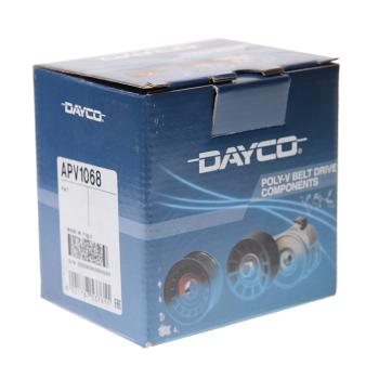 1 149 р. Ролик приводного ремня FIAT Palio обводной DAYCO DAYCO apv1068  с доставкой в г. Вологда. Увеличить фотографию 3