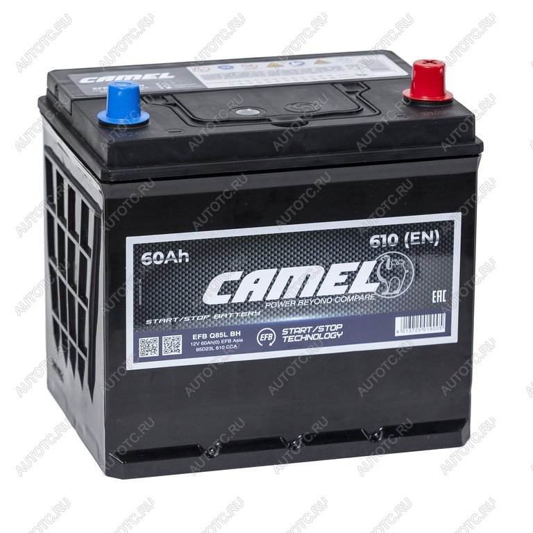 10 749 р. Аккумулятор CAMEL EFB Asia 60Ач обратная полярность CAMEL 6ст60(0) d23l q85l  с доставкой в г. Вологда