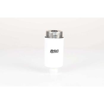 Фильтр топливный LAND ROVER Range Rover (13-) (4.4 TD) BSG
