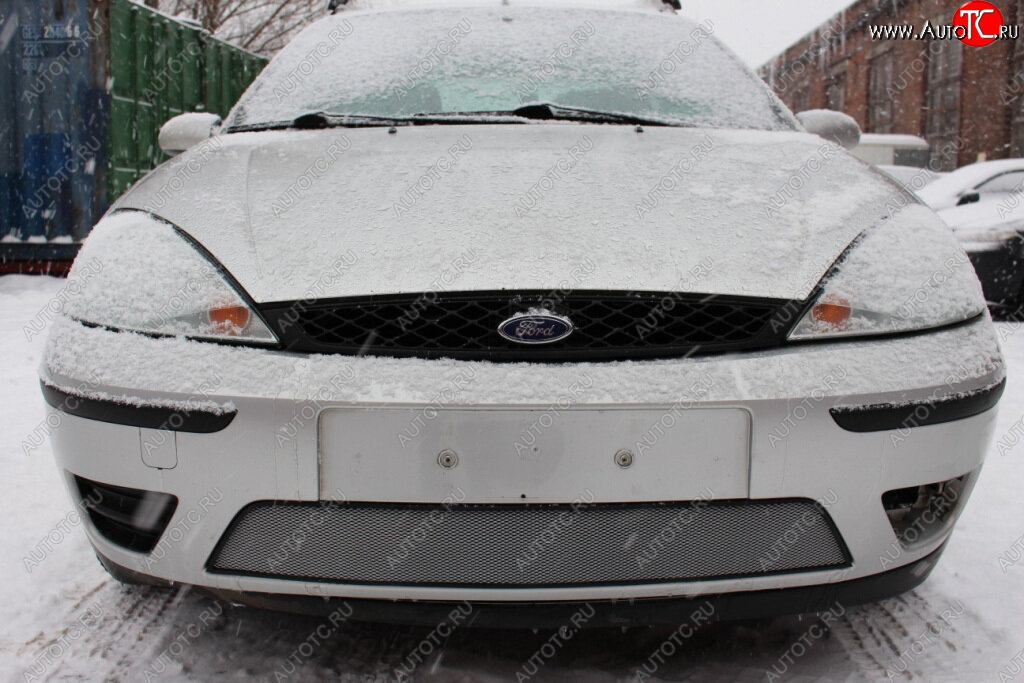 3 079 р. Защитная сетка в бампер (ячейка 3х7 мм) Alfeco Стандарт  Ford Focus  1 (2001-2005) седан рестайлинг, универсал рестайлинг, хэтчбэк 3 дв. рестайлинг, хэтчбэк 5 дв. рестайлинг (Хром)  с доставкой в г. Вологда