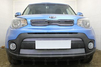 Защитная сетка в бампер (2 части, ячейка 3х7 мм) Alfeco Стандарт KIA Soul  PS (2017-2019) рестайлинг (Хром)
