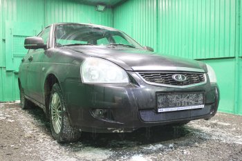 2 259 р. Защитная сетка в бампер (низ, ячейка 3х7 мм) Alfeco Стандарт  Лада Приора ( 2170,  2171,  2172) (2013-2018) седан рестайлинг, универсал рестайлинг, хэтчбек рестайлин (Чёрная)  с доставкой в г. Вологда. Увеличить фотографию 2