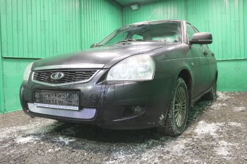 2 299 р. Защитная сетка в бампер (низ, ячейка 3х7 мм) Alfeco Стандарт  Лада Приора ( 2170,  2171,  2172) (2013-2018) седан рестайлинг, универсал рестайлинг, хэтчбек рестайлин (Хром)  с доставкой в г. Вологда. Увеличить фотографию 2