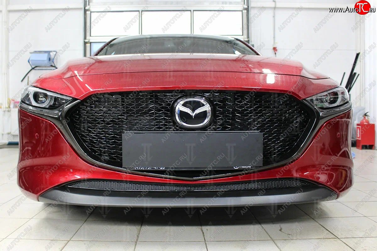 2 899 р. Защитная сетка в бампер (низ, ячейка 3х7 мм) Alfeco Стандарт Mazda 3/Axela BP хэтчбэк (2019-2025) (Чёрная)  с доставкой в г. Вологда