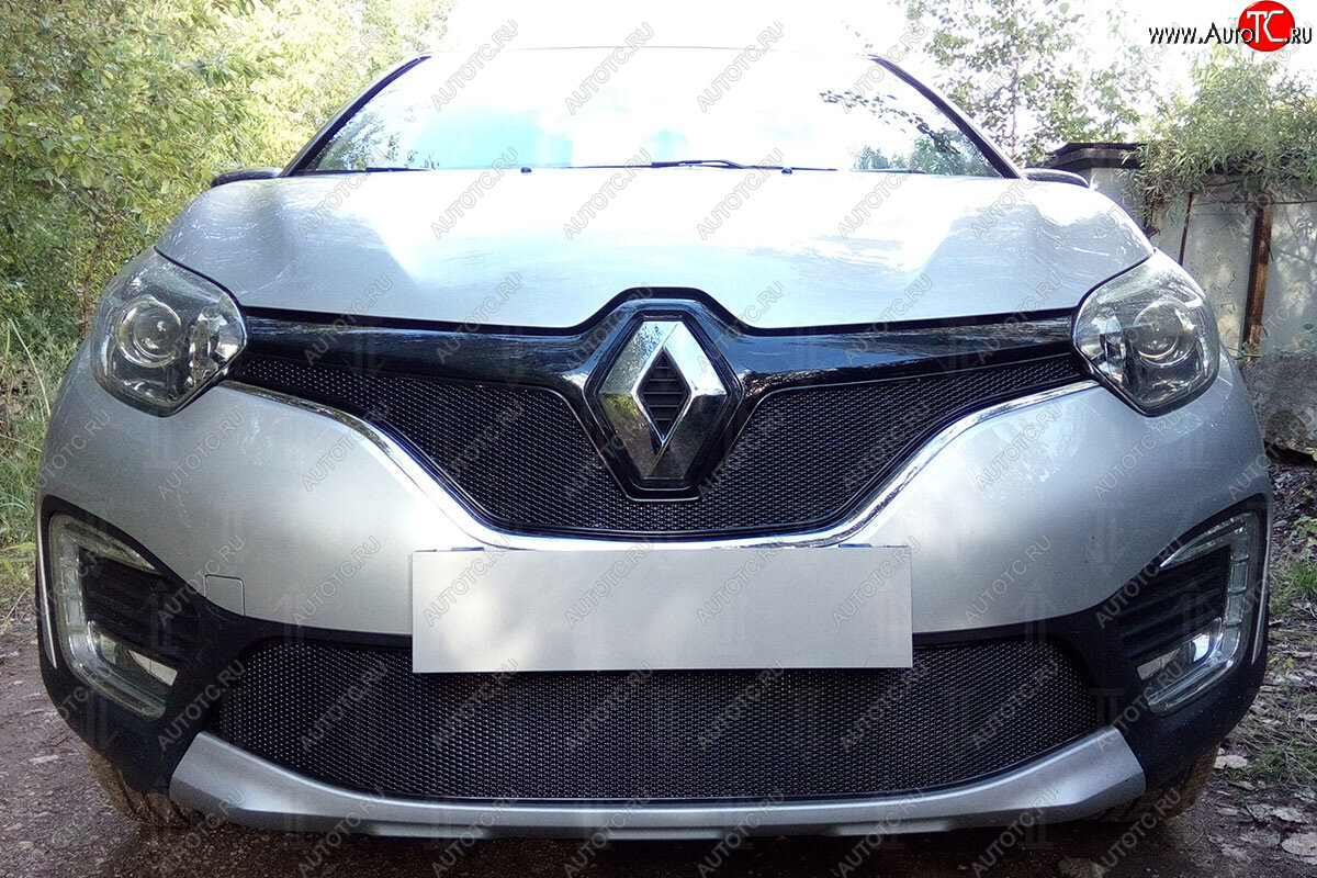 4 649 р. Защитная сетка в бампер (низ, ячейка 4х10 мм) Стрелка11 Премиум Renault Kaptur дорестайлинг (2016-2020) (Чёрная)  с доставкой в г. Вологда