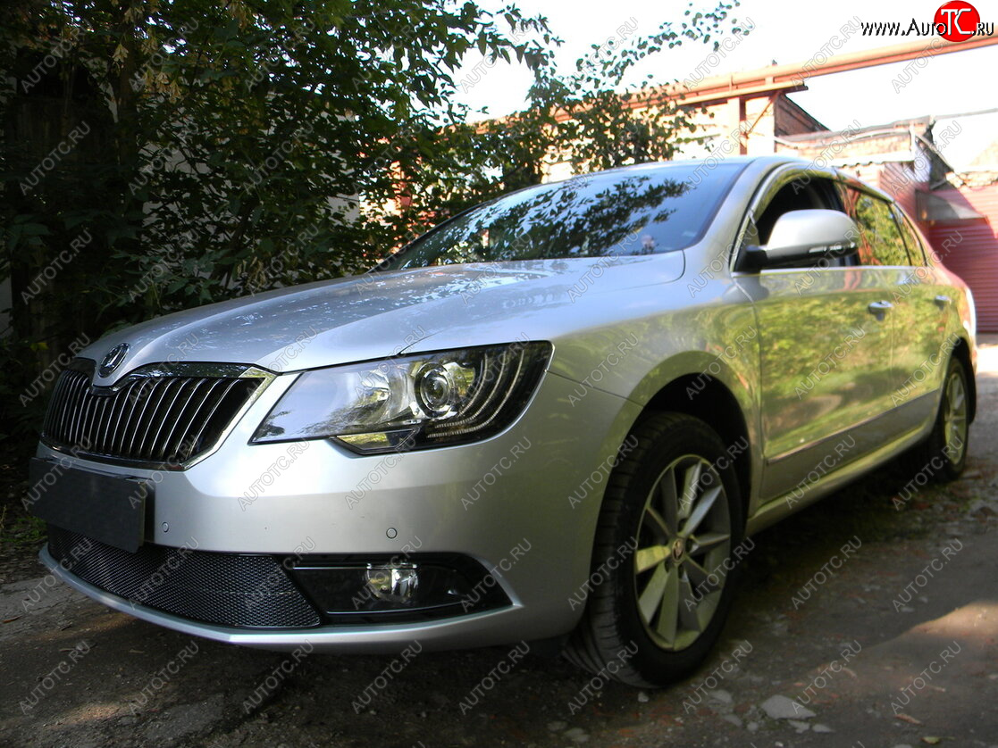 4 649 р. Защитная сетка в бампер (низ, ячейка 4х10 мм) Стрелка11 Премиум  Skoda Superb ( (B6) 3T,  B6 (3T5)) (2013-2015) лифтбэк рестайлинг, универсал рестайлинг (Чёрная)  с доставкой в г. Вологда