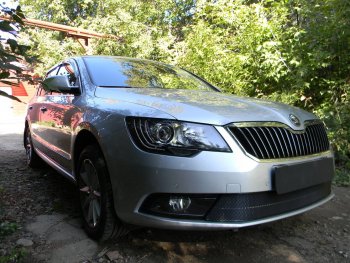 4 649 р. Защитная сетка в бампер (низ, ячейка 4х10 мм) Стрелка11 Премиум  Skoda Superb ( (B6) 3T,  B6 (3T5)) (2013-2015) лифтбэк рестайлинг, универсал рестайлинг (Чёрная)  с доставкой в г. Вологда. Увеличить фотографию 3