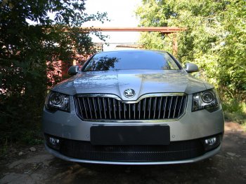 4 649 р. Защитная сетка в бампер (низ, ячейка 4х10 мм) Стрелка11 Премиум  Skoda Superb ( (B6) 3T,  B6 (3T5)) (2013-2015) лифтбэк рестайлинг, универсал рестайлинг (Чёрная)  с доставкой в г. Вологда. Увеличить фотографию 2