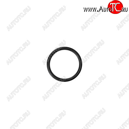 100 р. Кольцо уплотнительное QSM, ISM, M11 3035026 CUMMINS 13462  с доставкой в г. Вологда