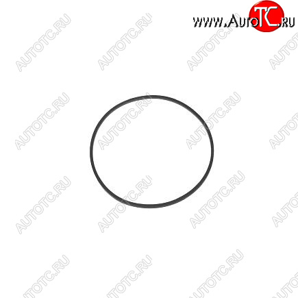 90 р. Кольцо уплотнительное головки топливного фильтра 6BT, ISC, ISL 4980085 CUMMINS 14120  с доставкой в г. Вологда