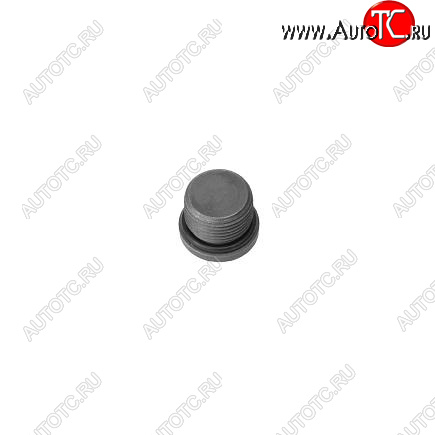 259 р. Заглушка резьбовая ГБЦ, корпуса термостата ISF 3.8 3678611 CUMMINS 13558  с доставкой в г. Вологда