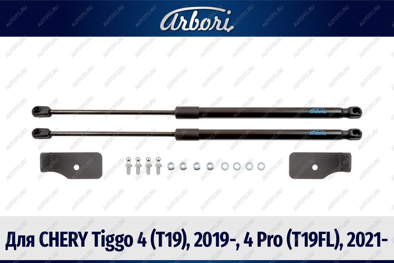 3 499 р. Упоры капота для CHERY Tiggo 4 (T19), 2019-, 4 Pro (T19FL), 2021-, к-т 2 шт  Черри Тигго 4 Arbori arbori.hd.017101  с доставкой в г. Вологда