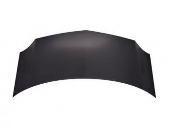 Капот (Тайвань) BodyParts Renault Kangoo  KW0 (2008-2013) дорестайлинг