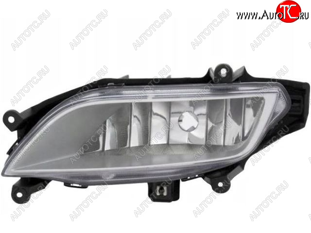 1 939 р. Противотуманная фара левая BODYPARTS Hyundai Starex/Grand Starex/H1 TQ дорестайлинг (2007-2013)  с доставкой в г. Вологда