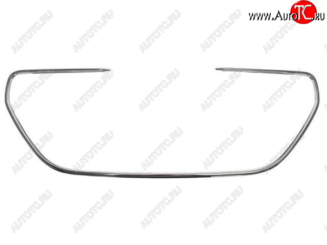 3 399 р. 301 МОЛДИНГ РЕШЕТКИ РАДИАТОРА (Китай) BODYPARTS pg30113-120  с доставкой в г. Вологда