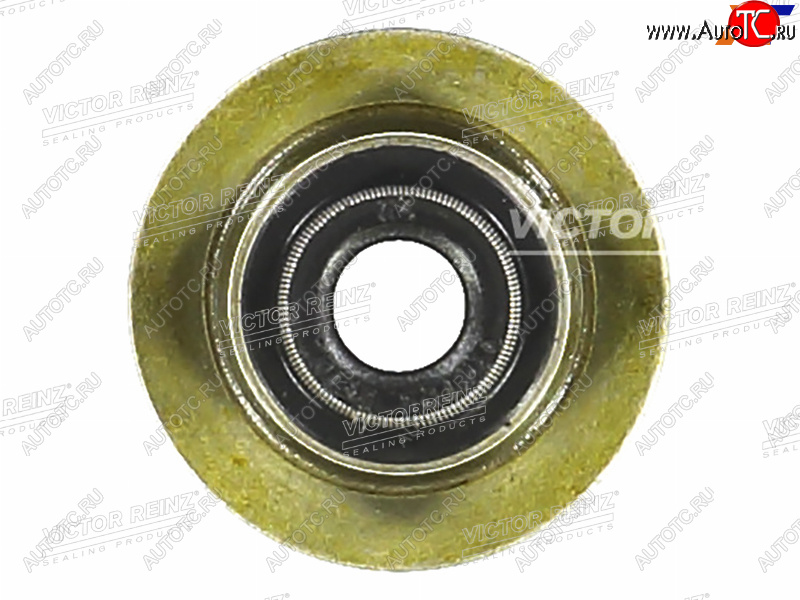 166 р. Колпачок маслосъёмный CITROENPEUGEOT BOXERJUMPER 4HU4HV VICTOR REINZ 70-35549-00  с доставкой в г. Вологда