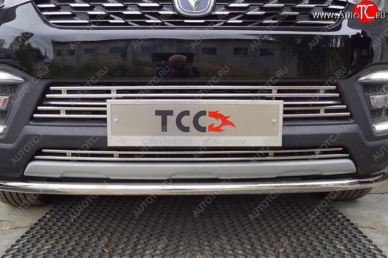 2 399 р. Нижняя декоративная вставка в бампер ТСС Тюнинг Changan CS55 рестайлинг (2018-2025) (d 12 мм)  с доставкой в г. Вологда