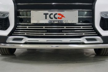 Нижняя декоративная вставка в бампер ТСС Тюнинг EXEED TXL  дорестайлинг (2020-2021) (d 12 мм)