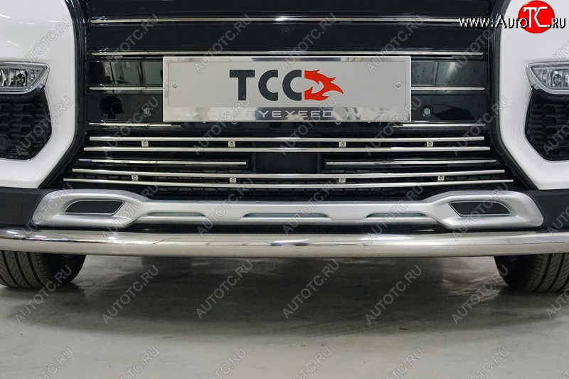 5 599 р. Нижняя декоративная вставка в бампер ТСС Тюнинг EXEED TXL  дорестайлинг (2020-2021) (d 12 мм)  с доставкой в г. Вологда