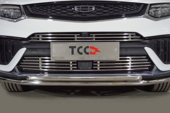 Нижняя декоративная вставка в бампер ТСС Тюнинг Geely Tugella FY11,HPBA4 рестайлинг (2022-2025) (d 12 мм)
