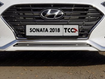 Нижняя декоративная вставка в бампер ТСС Тюнинг Hyundai Sonata LF рестайлинг (2017-2019) (d 12 мм)