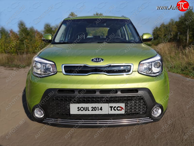 2 199 р. Нижняя декоративная вставка в бампер ТСС Тюнинг KIA Soul PS дорестайлинг (2014-2016) (d 12 мм)  с доставкой в г. Вологда