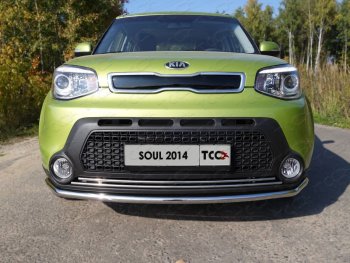 Нижняя декоративная вставка в бампер ТСС Тюнинг KIA Soul PS дорестайлинг (2014-2016) (d 16 мм)