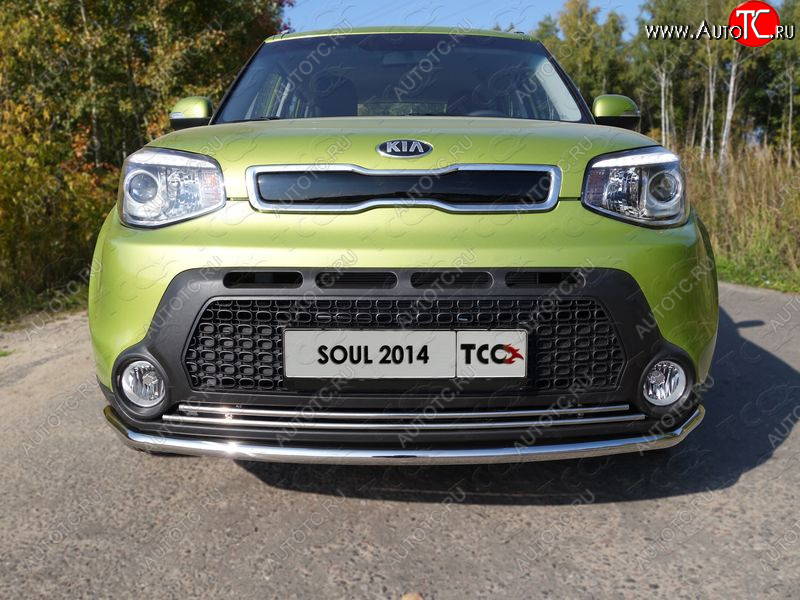 2 199 р. Нижняя декоративная вставка в бампер ТСС Тюнинг KIA Soul PS дорестайлинг (2014-2016) (d 16 мм)  с доставкой в г. Вологда