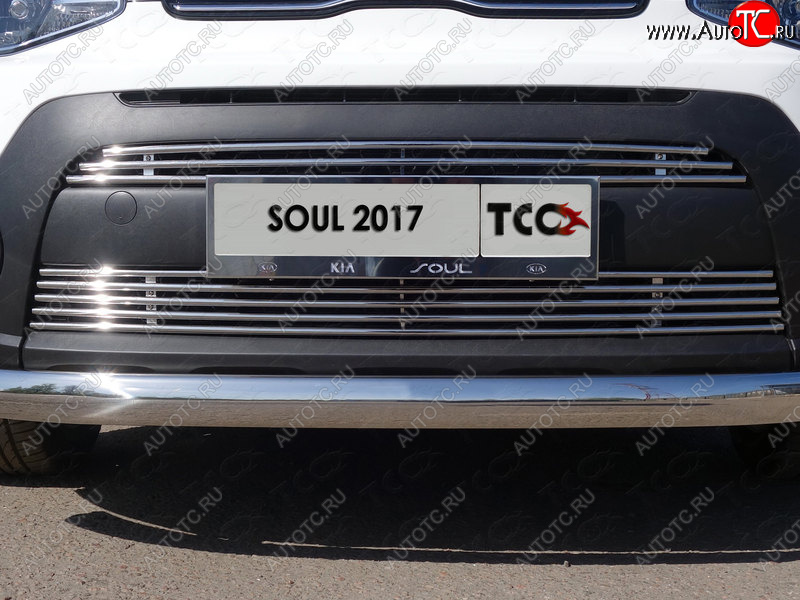 7 349 р. Нижняя декоративная вставка в бампер ТСС Тюнинг KIA Soul PS рестайлинг (2017-2019) (d 12 мм)  с доставкой в г. Вологда