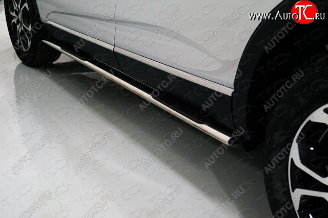 29 749 р. Пороги овальные с накладкой 75х42 мм ТСС Тюнинг Renault Arkana (2019-2025) (серые)  с доставкой в г. Вологда