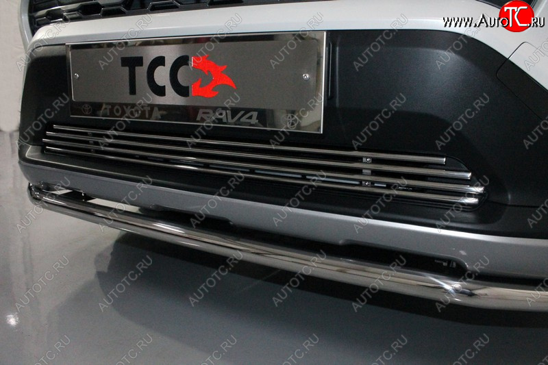 7 349 р. Нижняя декоративная вставка в бампер ТСС Тюнинг Toyota RAV4 XA50 5 дв. дорестайлинг (2018-2025) (d 12 мм)  с доставкой в г. Вологда
