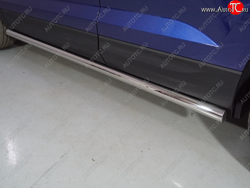 24 949 р. Защита порогов труба d60,3 мм ТСС Тюнинг Volkswagen Taos (2020-2022) (серые)  с доставкой в г. Вологда