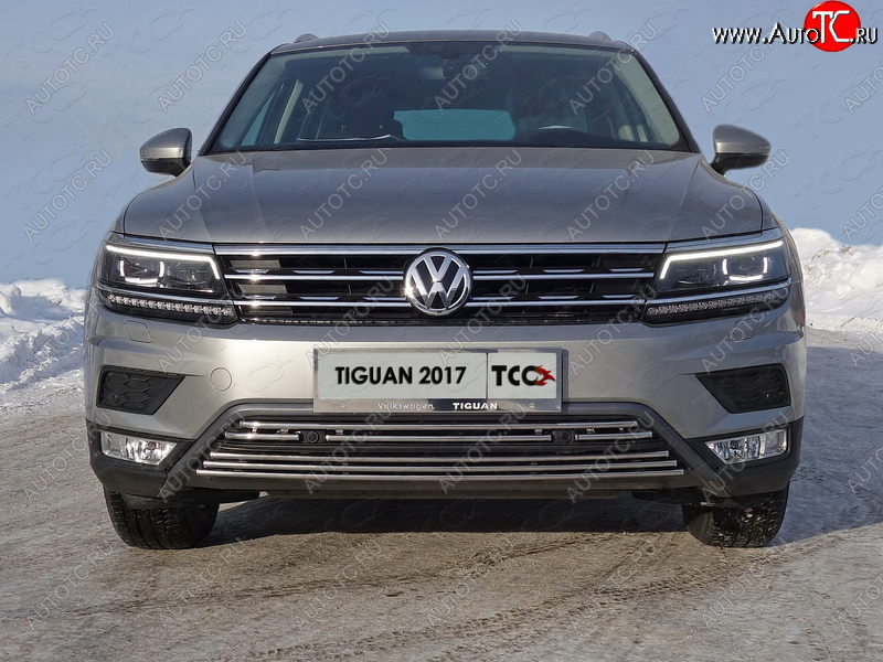 7 349 р. Нижняя декоративная вставка в бампер (пакет Offroad) ТСС Тюнинг Volkswagen Tiguan Mk2 дорестайлинг (2016-2020) (d 16 мм)  с доставкой в г. Вологда