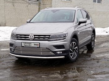 Защита переднего бампера нижняя d60,3 мм ТСС Тюнинг Volkswagen Tiguan Mk2 дорестайлинг (2016-2020) (нержавейка)