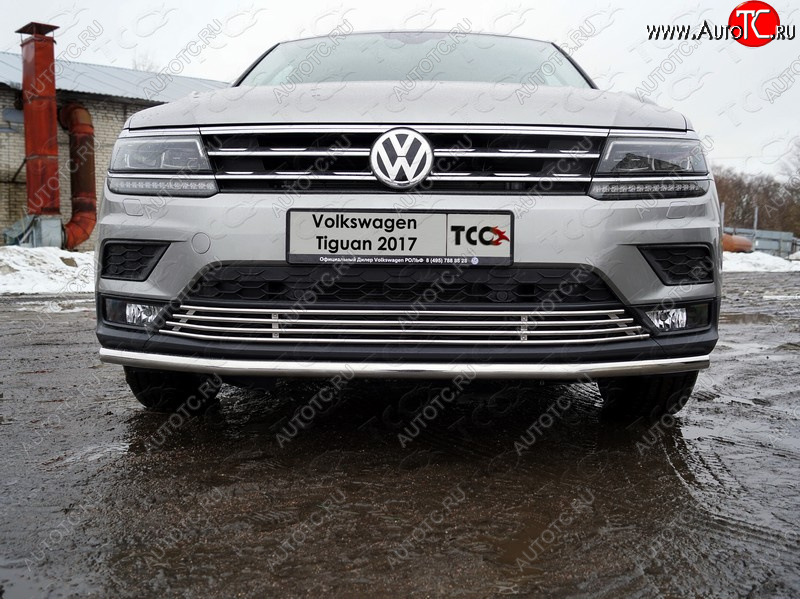 7 349 р. Нижняя декоративная вставка в бампер ТСС Тюнинг Volkswagen Tiguan Mk2 дорестайлинг (2016-2020) (d 12 мм)  с доставкой в г. Вологда