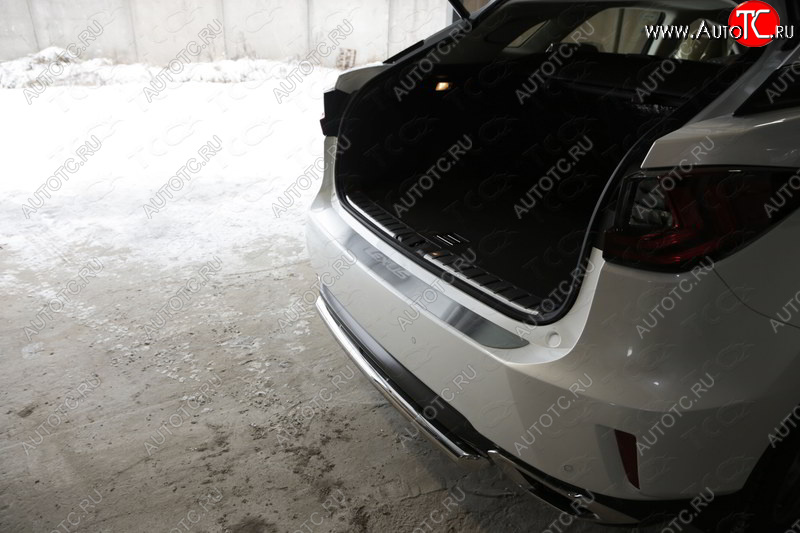 4 399 р. Накладка на задний бампер, ТСС Тюнинг  Lexus RX  200T - RX450H  AL10 (лист шлифованный надпись Lexus)  с доставкой в г. Вологда