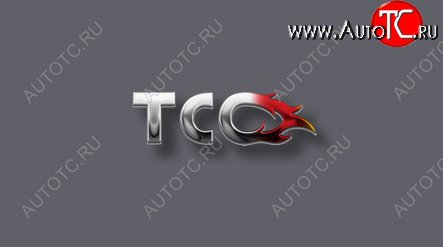2 499 р. Накладки на пороги внешние, ТСС Тюнинг Volkswagen Polo Mk6 лифтбек (2020-2022) (лист шлифованный)  с доставкой в г. Вологда
