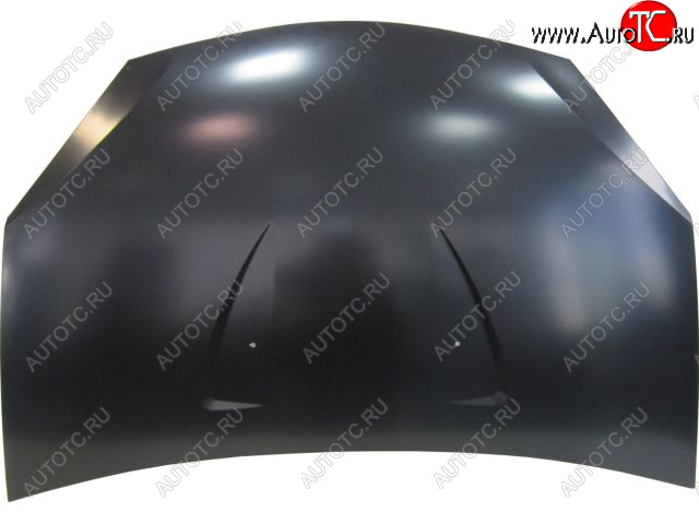12 999 р. SANDERO 08- КАПОТ (Китай) BODYPARTS rnsan08-331  с доставкой в г. Вологда