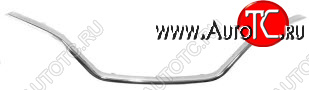 3 069 р. KAPTUR МОЛДИНГ РЕШЕТКИ РАДИАТОРА ХРОМ (Китай) BODYPARTS rnktr16-121  с доставкой в г. Вологда