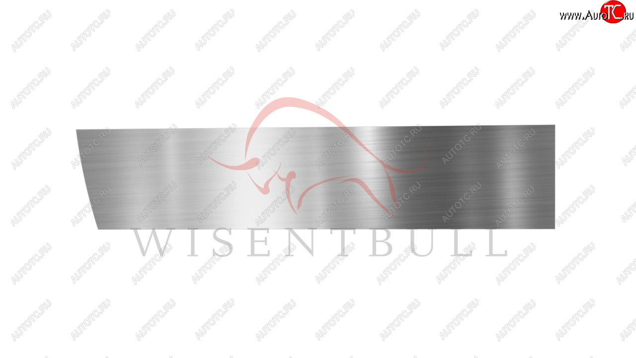 1 989 р. Ремкомплект левой двери Wisentbull Chevrolet Viva (2005-2008)  с доставкой в г. Вологда