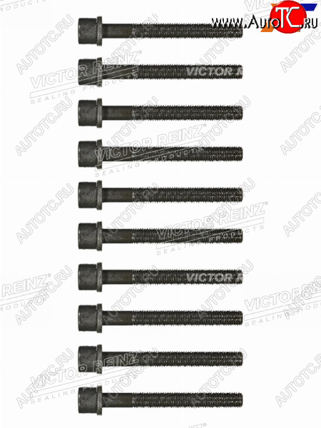 1 299 р. Комплект болтов  ГБЦ VAG 80100A6PASSAT AAMAAEAADABK VICTOR REINZ 14-32046-01  с доставкой в г. Вологда